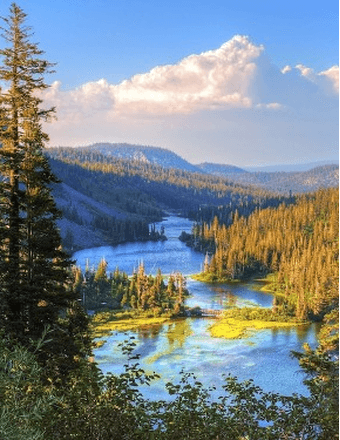 Walter D. Peterson, Sr. Obituary