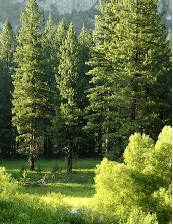 Jacob Gregoreski Obituary