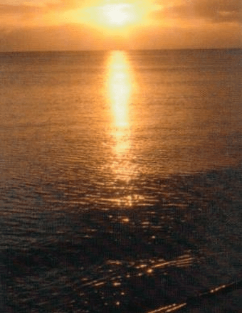 Sylvia "Marie" Urbanski Obituary